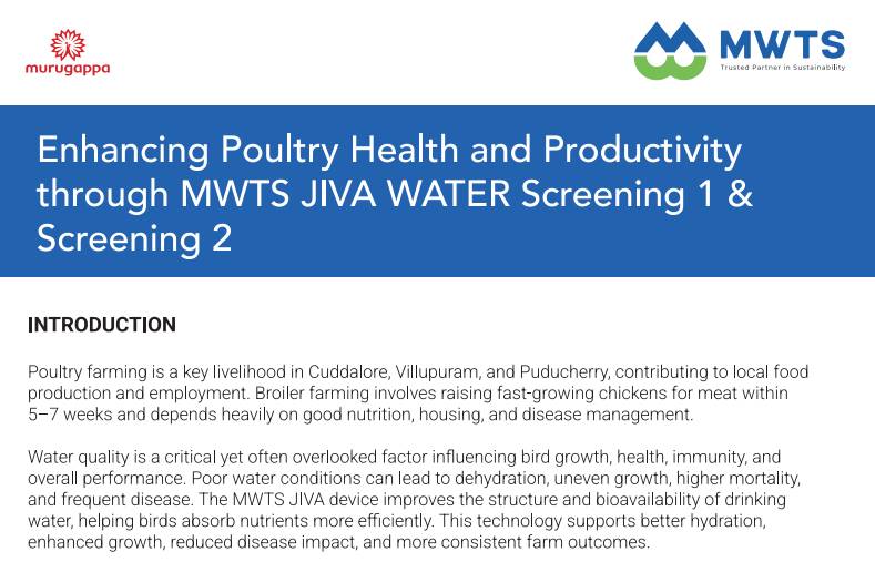 Enhancing Poultry Health and Productivity through MWTS JIVA WATER 